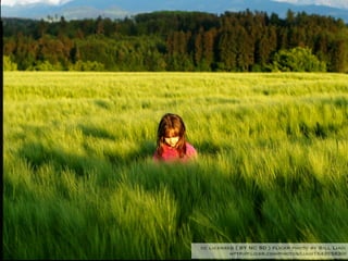 cc licensed ( BY NC SD ) flickr photo by Bill Liao:
          http://flickr.com/photos/liao/154355830/
 