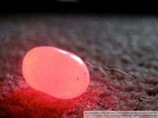 cc licensed ( BY NC SD ) flickr photo by chuck_heston:
      http://flickr.com/photos/chuckheston/383386494/
 