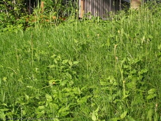 Frodo: Go back, Sam. I’m going to Mordor alone.
Sam: Of course you are. And I’m coming with you.
                      The Lord of the Rings: The Fellowship of the Ring
 