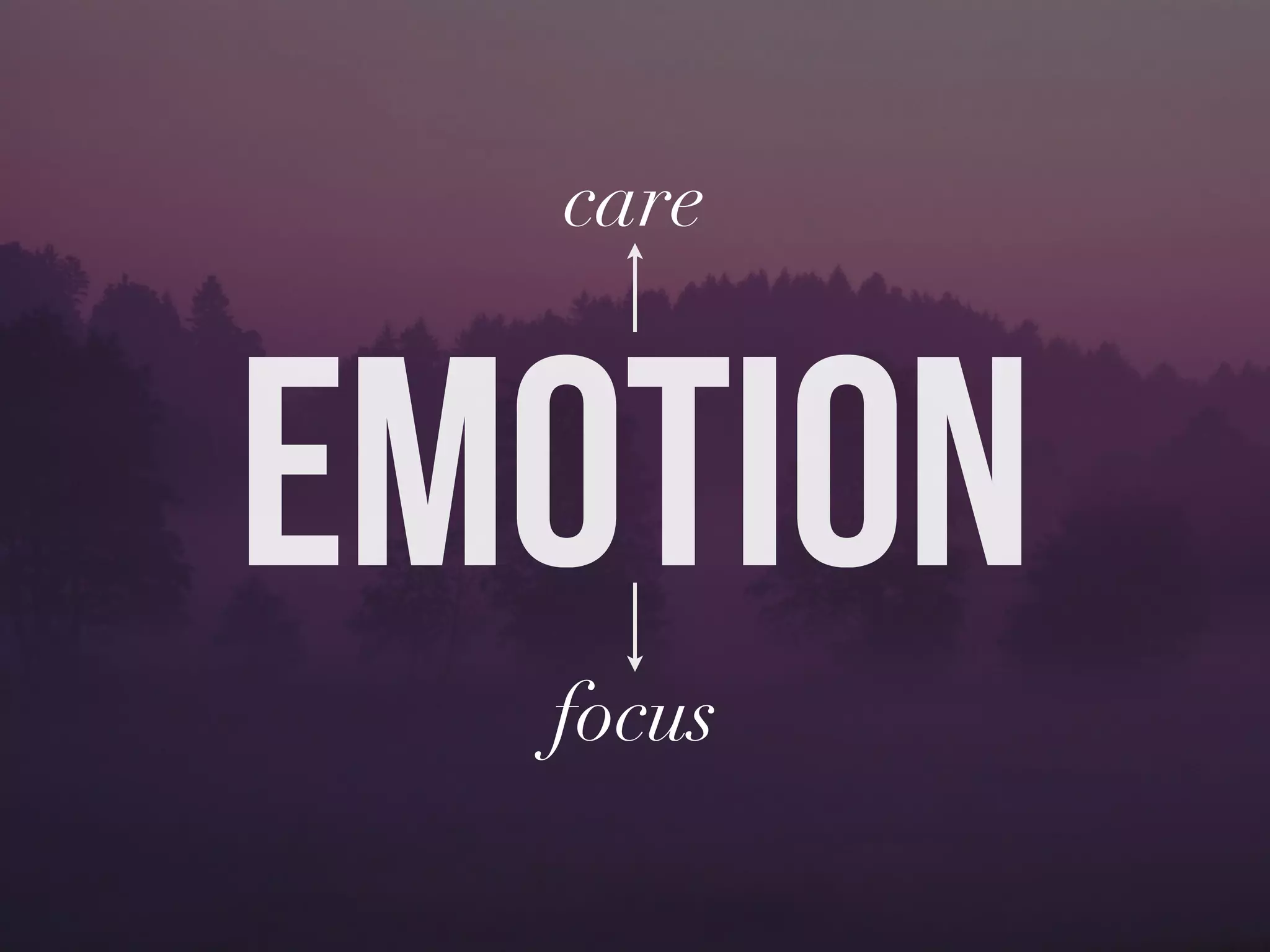 EMOTION
care
focus
 