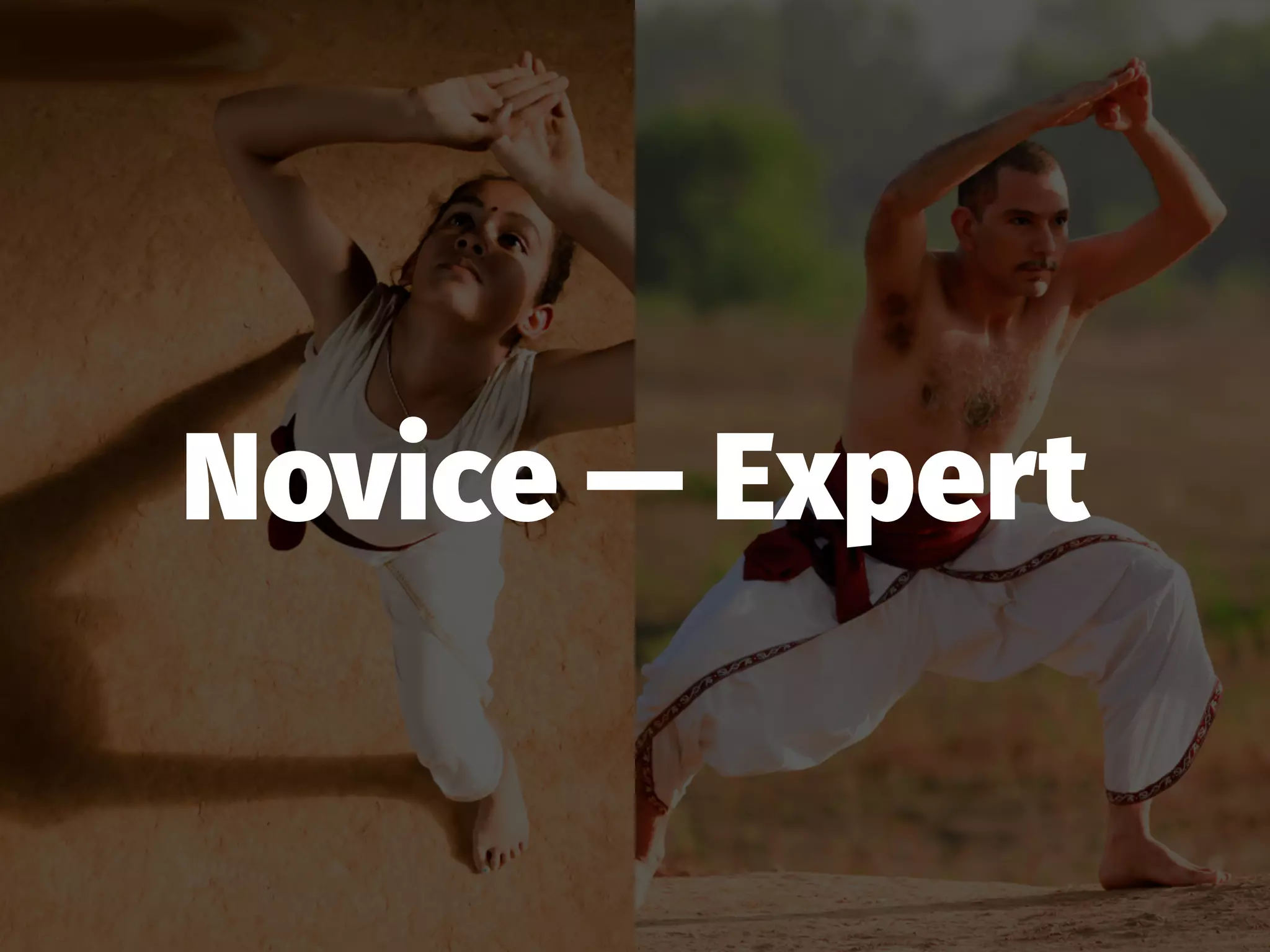 Novice — Expert
 