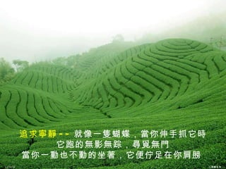 追求寧靜 -- 就像一隻蝴蝶，當你伸手抓它時 它跑的無影無踪，尋覓無門 當你一動也不動的坐著，它便佇足在你肩膀   12/26/10 心理學系列 