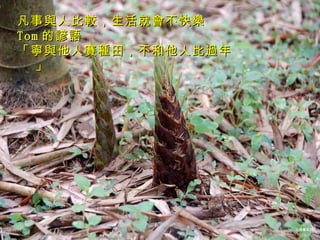 凡事與人比較，生活就會不快樂 Tom 的諺語 「寧與他人賽種田，不和他人比過年」 12/26/10 心理學系列 