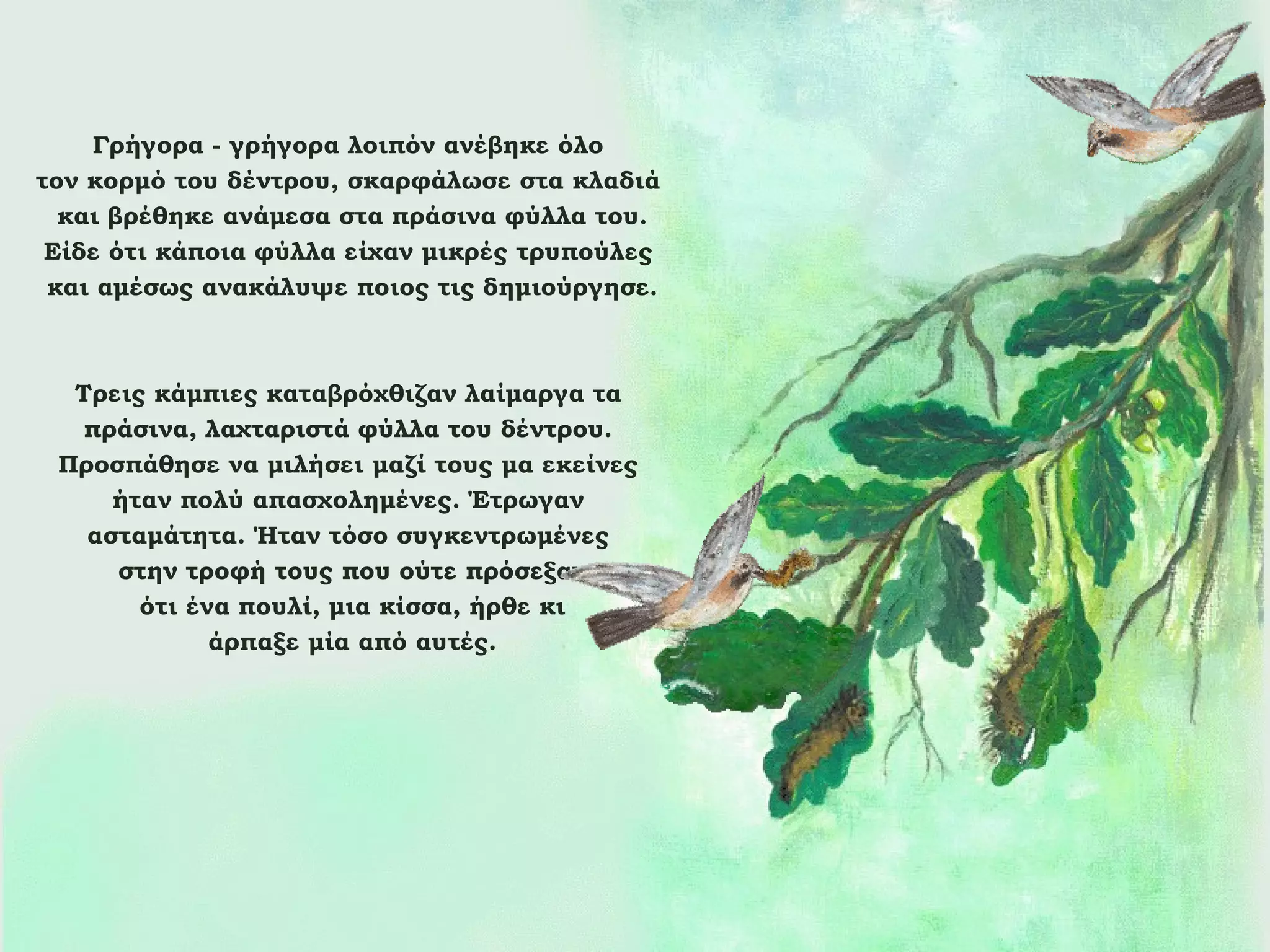 Γρήγορα - γρήγορα λοιπόν ανέβηκε όλο
τον κορμό του δέντρου, σκαρφάλωσε στα κλαδιά
και βρέθηκε ανάμεσα στα πράσινα φύλλα του.
Είδε ότι κάποια φύλλα είχαν μικρές τρυπούλες
και αμέσως ανακάλυψε ποιος τις δημιούργησε.

Τρεις κάμπιες καταβρόχθιζαν λαίμαργα τα
πράσινα, λαχταριστά φύλλα του δέντρου.
Προσπάθησε να μιλήσει μαζί τους μα εκείνες
ήταν πολύ απασχολημένες. Έτρωγαν
ασταμάτητα. Ήταν τόσο συγκεντρωμένες
στην τροφή τους που ούτε πρόσεξαν
ότι ένα πουλί, μια κίσσα, ήρθε κι
άρπαξε μία από αυτές.

 