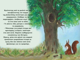 Βγαίνοντας από τη φωλιά του και
κατεβαίνοντας τον κορμό
της βελανιδιάς συνάντησε μια παρέα
μυρμηγκιών. Στάθηκε να τα
παρατηρήσει. Ανέβαιναν σιγά - σιγά,
το ένα πίσω από το άλλο.
- Τι κάνετε εδώ; ρώτησε ο σκίουρος
τα μυρμήγκια.
- Ψάχνουμε για μικρά έντομα και
προνύμφες εντόμων, απάντησε
ένα από αυτά. Είμαστε καθημερινοί
επισκέπτες του δέντρου.
Ξέρεις, μέσα στο φλοιό του κορμού
τρυπώνουν μικρούλικα έντομα κι
εμείς όλο και κάποιο από αυτά
βρίσκουμε για να τραφούμε.

 