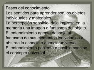 Fases del conocimiento
Los sentidos para aprender son los objetos
individuales y materiales.
La percepción sensible, deja impresa en la
memoria una imagen o fantasma del objeto.
El entendimiento agente despoja al
fantasma de sus elementos individuales y
abstrae la especie o esencia universal.
El entendimiento paciente o posible concibe
el concepto universal.
 