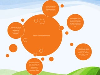 Barreras Físicas y Arquitectónicas 
Ausencias de vías de 
acceso adecuadas para 
personas con 
problemas de 
movilidad. 
Dificultad para el uso 
de servicios como los 
higiénicos, las fuentes 
de agua, los teléfonos, 
la tienda de alimentos, 
etc. 
Ausencia de referencias 
o señalizaciones para la 
orientación de 
personas con pérdida 
de la visión o de la 
audición. 
Aulas mal ventiladas, 
mal iluminadas, con 
poco espacio para el 
desarrollo de 
actividades y la 
movilización segura. 
Bancas inapropiadas 
para alumnos con 
problemas motores, 
zurdos o hiperactivos. 
 