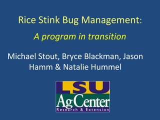 Rice Stink Bug Management : A program in transition Michael Stout, Bryce Blackman, Jason Hamm & Natalie Hummel 