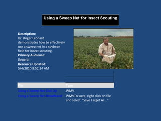 Stout ricestinkbugmanagement2011 | PPT