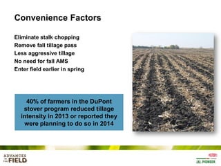 Convenience Factors
Eliminate stalk chopping
Remove fall tillage pass
Less aggressive tillage
No need for fall AMS
Enter field earlier in spring

40% of farmers in the DuPont
stover program reduced tillage
intensity in 2013 or reported they
were planning to do so in 2014

 