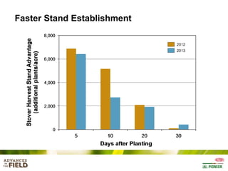 Faster Stand Establishment
2012
2013

 