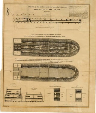 Stowage Of The British Slave Ship Brookes Under The Regulated Slave Trade