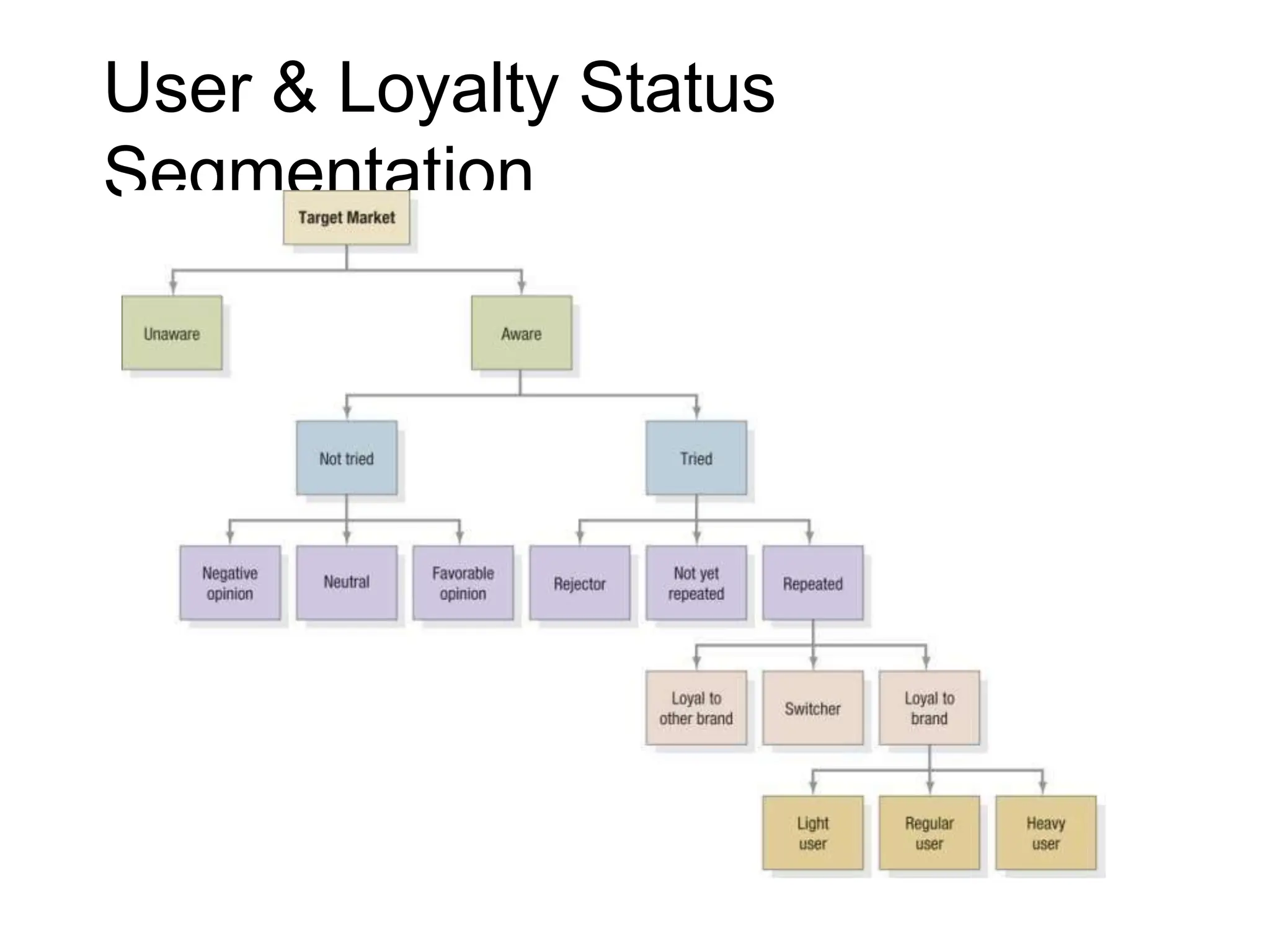 User & Loyalty Status
Segmentation
 