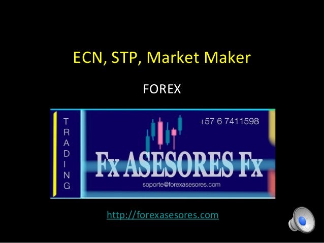 Forex stp