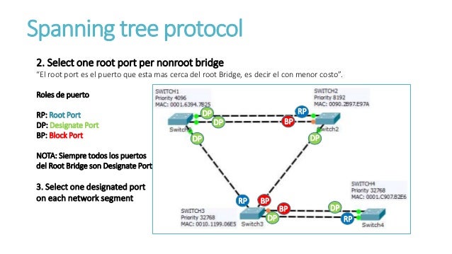 Spanning tree protocol