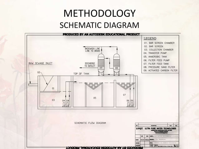 Sewage Treatment Plant | PPTX