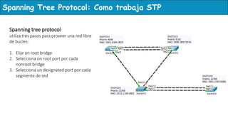 Spanning tree protocol CCNA | PPTX