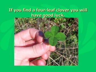 If you find a four-leaf clover you will have good luck.