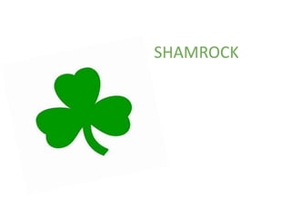 SHAMROCK
 