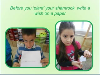 Before you ‘plant’ your shamrock, write a
            wish on a paper
 