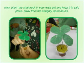 Now ‘plant’ the shamrock in your wish pot and keep it in safe
        place, away from the naughty leprechauns
 