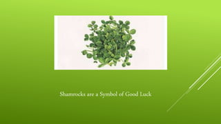 Shamrocks are a Symbol of Good Luck
 
