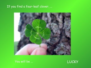 If you find a four-leaf clover, … You will be …   LUCKY 