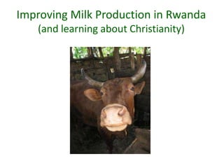 Improving Milk Production in Rwanda
   (and learning about Christianity)
 