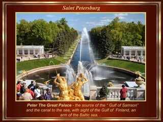 Saint Petersburg   Peter The Great P alace  - the source  of the  “  Gulf of  Samson” and the canal  to  the sea, with sight of the  G ulf of   Finland , an arm of the Baltic sea. .   