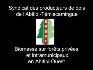 Syndicat des producteurs de bois
  de l’Abitibi-Témiscamingue




  Biomasse sur forêts privées
      et intramunicipaux
       en Abitibi-Ouest
 