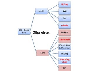 Sốt + hồng
ban
N.Lớn
Dị ứng
SXH
Sởi
rubella
T.em
Rubella
Kawashaki
Sốt svi: HHV
6, Parovirus
Dị ứng
Tinh hồng
nhiệt
Sởi
Zika virus
 