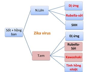 Sốt + hồng
ban
N.Lớn
Dị ứng
SXH
Rubella-sởi
T.em
Rubella-
Sởi
Kawashaki
Dị ứng
Tinh hồng
nhiệt
Zika virus
 