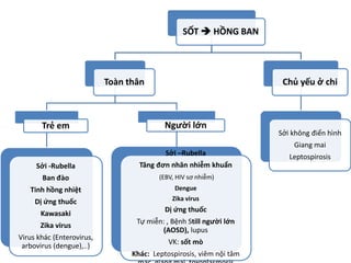 SỐT  HỒNG BAN
Toàn thân
Trẻ em
Sởi -Rubella
Ban đào
Tinh hồng nhiệt
Dị ứng thuốc
Kawasaki
Zika virus
Virus khác (Enterovirus,
arbovirus (dengue),..)
Người lớn
Sởi –Rubella
Tăng đơn nhân nhiễm khuẩn
(EBV, HIV sơ nhiễm)
Dengue
Zika virus
Dị ứng thuốc
Tự miễn: , Bệnh Still người lớn
(AOSD), lupus
VK: sốt mò
Khác: Leptospirosis, viêm nội tâm
Chủ yếu ở chi
Sởi không điển hình
Giang mai
Leptospirosis
 