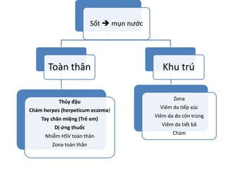 Sốt  mụn nước
Toàn thân
Thủy đậu
Chàm herpes (herpeticum eczema)
Tay chân miệng (Trẻ em)
Dị ứng thuốc
Nhiễm HSV toàn thân
Zona toàn thân
Khu trú
Zona
Viêm da tiếp xúc
Viêm da do côn trùng
Viêm da tiết bã
Chàm
 