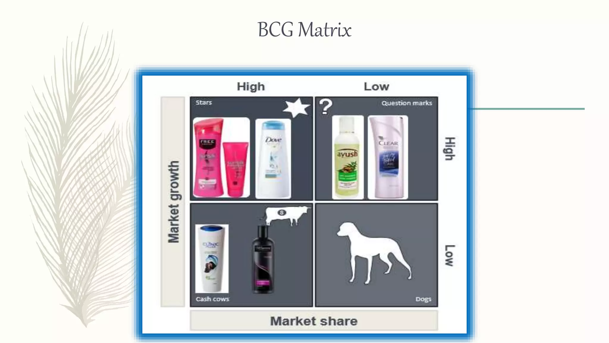 BCG Matrix
 