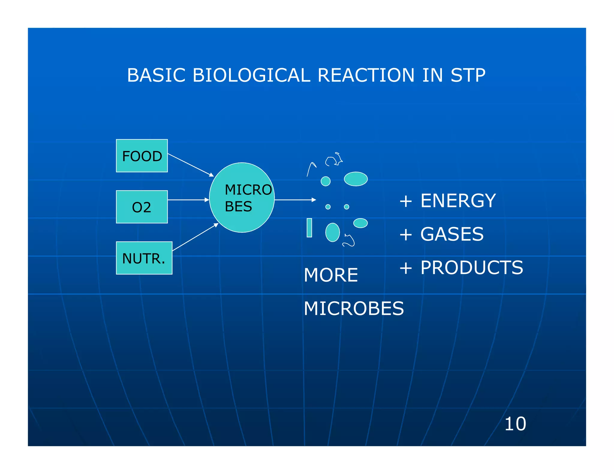 BASIC BIOLOGICAL REACTION IN STP



FOOD

        MICRO
 O2     BES             + ENERGY
                        + GASES
NUTR.
                MORE    + PRODUCTS

                MICROBES




                                   10
 