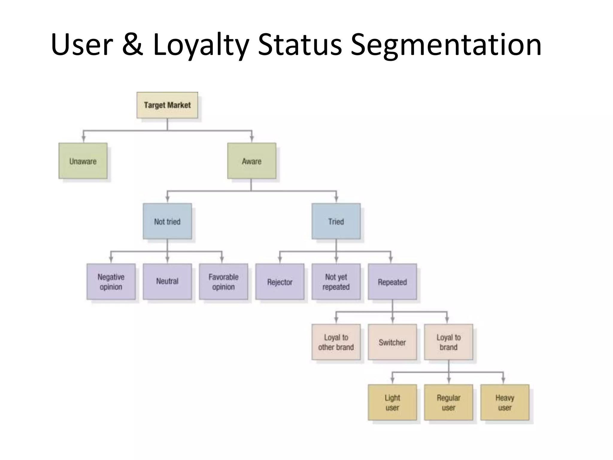 User & Loyalty Status Segmentation
 