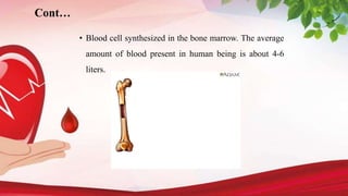 • Blood cell synthesized in the bone marrow. The average
amount of blood present in human being is about 4-6
liters.
Cont…
 