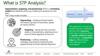 SEGMENTATION TARGETING AND POSITIONING PaperBoat vs Frooti[1].pptx