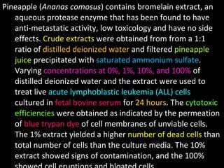 Pineapple ( Ananas comosus ) contains bromelain extract, an aqueous protease enzyme that has been found to have anti-metastatic activity, low toxicology and have no side effects.  Crude extracts  were obtained from from a 1:1 ratio of  distilled deionized water  and filtered  pineapple juice  precipitated with  saturated ammonium sulfate . Varying  concentrations at 0%, 1%, 10%, and 100%  of distilled deionized water and the extract were used to treat live  acute lymphoblastic leukemia (ALL) cells  cultured in  fetal bovine serum  for  24 hours . The  cytotoxic efficiencies  were obtained as indicated by the permeation of  blue trypan dye  of cell membranes of unviable cells. The 1% extract yielded a higher  number of dead cells  than total number of cells than the culture media. The 10% extract showed signs of contamination, and the 100% showed cell eruptions and bloated cells. 