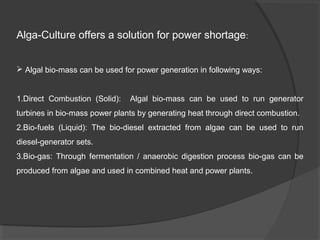 Alga-Culture offers a solution for power shortage:


 Algal bio-mass can be used for power generation in following ways:


1.Direct Combustion (Solid):   Algal bio-mass can be used to run generator
turbines in bio-mass power plants by generating heat through direct combustion.
2.Bio-fuels (Liquid): The bio-diesel extracted from algae can be used to run
diesel-generator sets.
3.Bio-gas: Through fermentation / anaerobic digestion process bio-gas can be
produced from algae and used in combined heat and power plants.
 