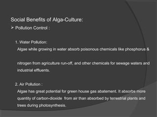 Social Benefits of Alga-Culture:
 Pollution Control :


  1. Water Pollution:
   Algae while growing in water absorb poisonous chemicals like phosphorus &


   nitrogen from agriculture run-off, and other chemicals for sewage waters and
   industrial effluents.


  2. Air Pollution :
   Algae has great potential for green house gas abatement. It absorbs more
   quantity of carbon-dioxide from air than absorbed by terrestrial plants and
   trees during photosynthesis.
 