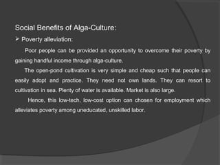 Social Benefits of Alga-Culture:
 Poverty alleviation:
    Poor people can be provided an opportunity to overcome their poverty by
gaining handful income through alga-culture.
    The open-pond cultivation is very simple and cheap such that people can
easily adopt and practice. They need not own lands. They can resort to
cultivation in sea. Plenty of water is available. Market is also large.
     Hence, this low-tech, low-cost option can chosen for employment which
alleviates poverty among uneducated, unskilled labor.
 