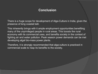 Conclusion


There is a huge scope for development of Alga-Culture in India, given the
presence of long coastal belt.
This inherently brings with it ample employment opportunities benefiting
many of the unprivileged people in rural areas. This boosts the rural
economy with its commercial uses, and benefits society in the context of
fighting air and water pollution. Peak season power demands can be met
developing algal bio-mass power plants.
Therefore, it is strongly recommended that alga-culture is practiced in
commercial scale to reap its benefits to the society.
 