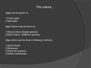 The culture…
Algae can be grown in..

1.Fresh water
2.Salt water

Alga-Culture may be done as..

1.Mono-Culture (Single species)
2.Multi-Culture (Different species)

Alga-culture can be done in following methods..

1.Open-Ponds
2.Raceways
3.Photo bio-reactors
4.Plastic membranes
 