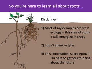 Greenhouse Root Example 20. Roots in the Soil - Angela Straathof | PDF