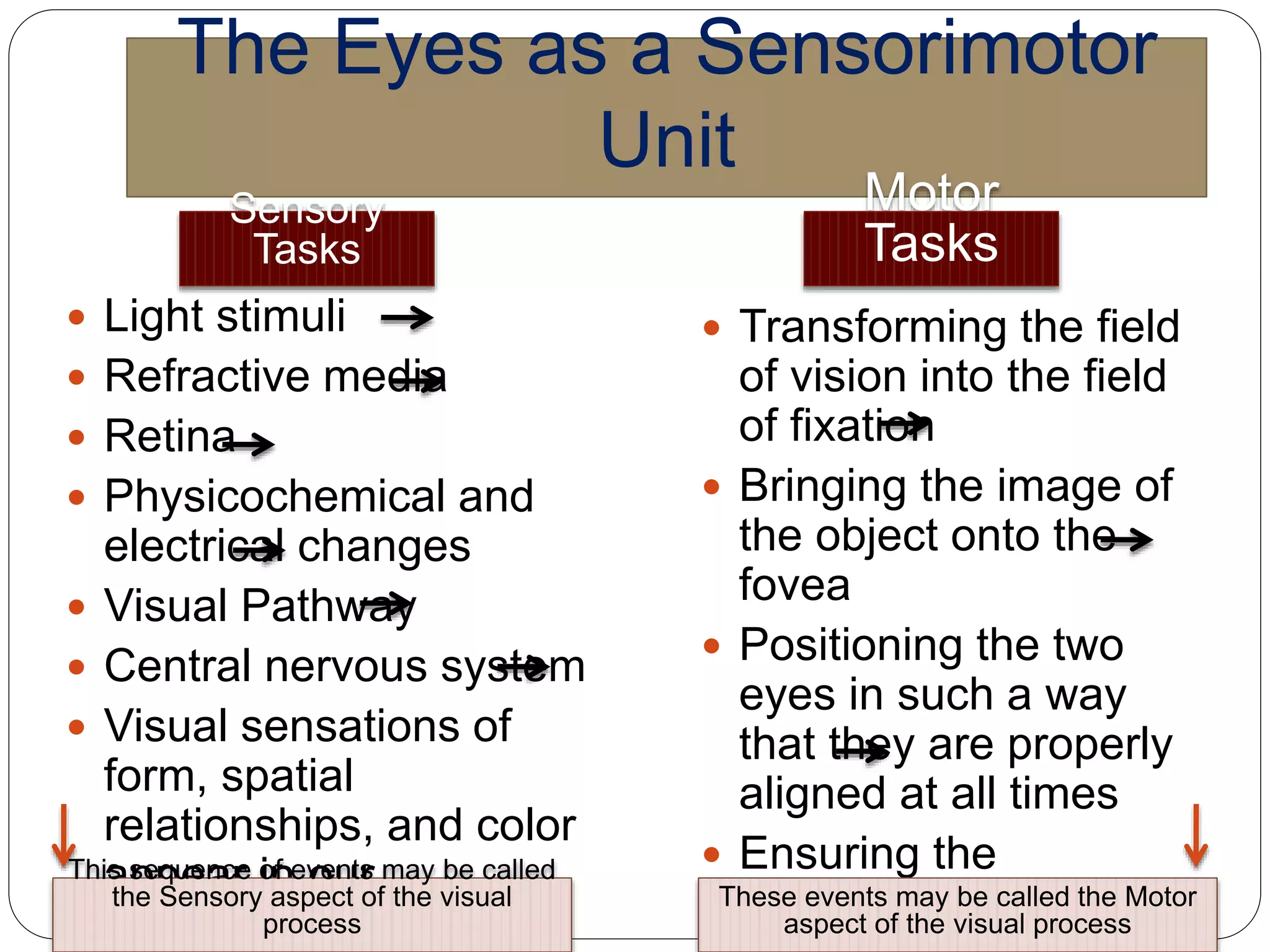 Vision Stimuli Strabismus - Dr. Halal | PPTX