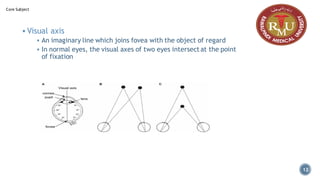 ▪ Visual axis
▪ An imaginary line which joins fovea with the object of regard
▪ In normal eyes, the visual axes of two eyes intersect at the point
of fixation
Core Subject
12
 