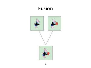 Fusion
 