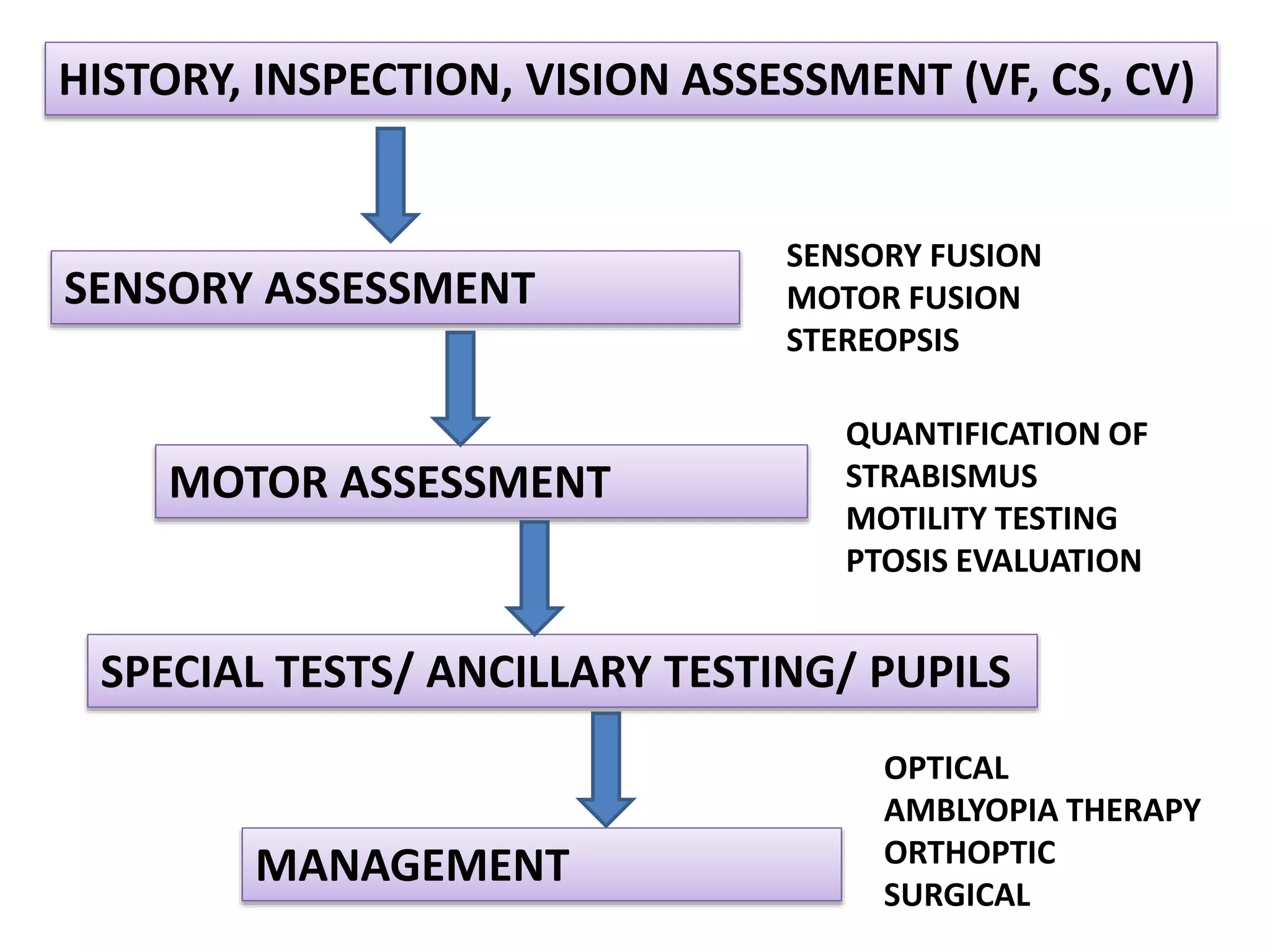 HISTORY, INSPECTION, VISION ASSESSMENT (VF, CS, CV)
SENSORY ASSESSMENT
MOTOR ASSESSMENT
SENSORY FUSION
MOTOR FUSION
STEREOPSIS
QUANTIFICATION OF
STRABISMUS
MOTILITY TESTING
PTOSIS EVALUATION
SPECIAL TESTS/ ANCILLARY TESTING/ PUPILS
MANAGEMENT
OPTICAL
AMBLYOPIA THERAPY
ORTHOPTIC
SURGICAL
 